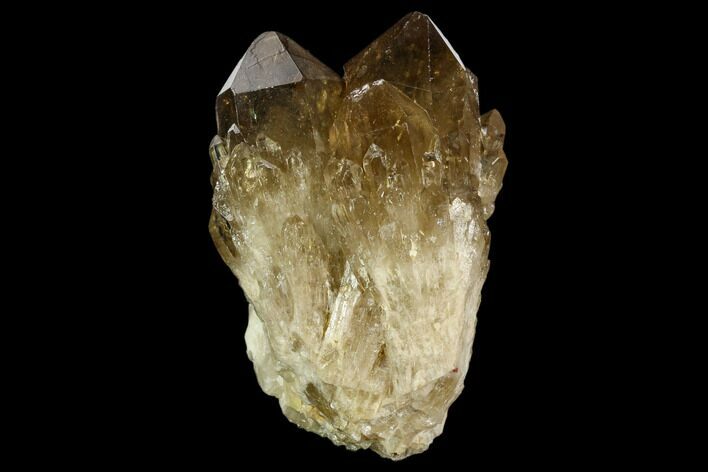 Smoky Citrine Crystal Cluster - Lwena, Congo #128420